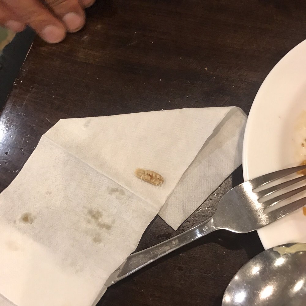 Seaport Buffet - Parasite in the food - Buffets Near Me - Brooklyn, New York Seaport Buffet - Parasite in the food - Buffets Near Me - Brooklyn, New York
