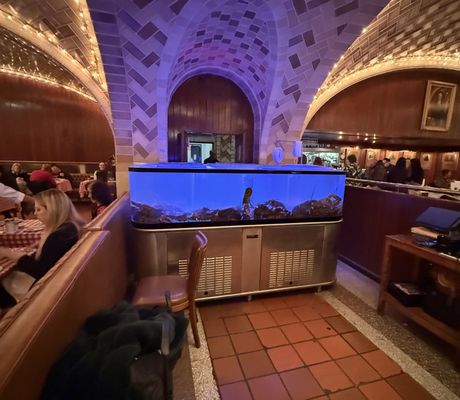 Grand Central Oyster Bar by null