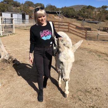 Farm Sanctuary - Animal Shelters Near Me - Acton, California Farm Sanctuary - Animal Shelters Near Me - Acton, California