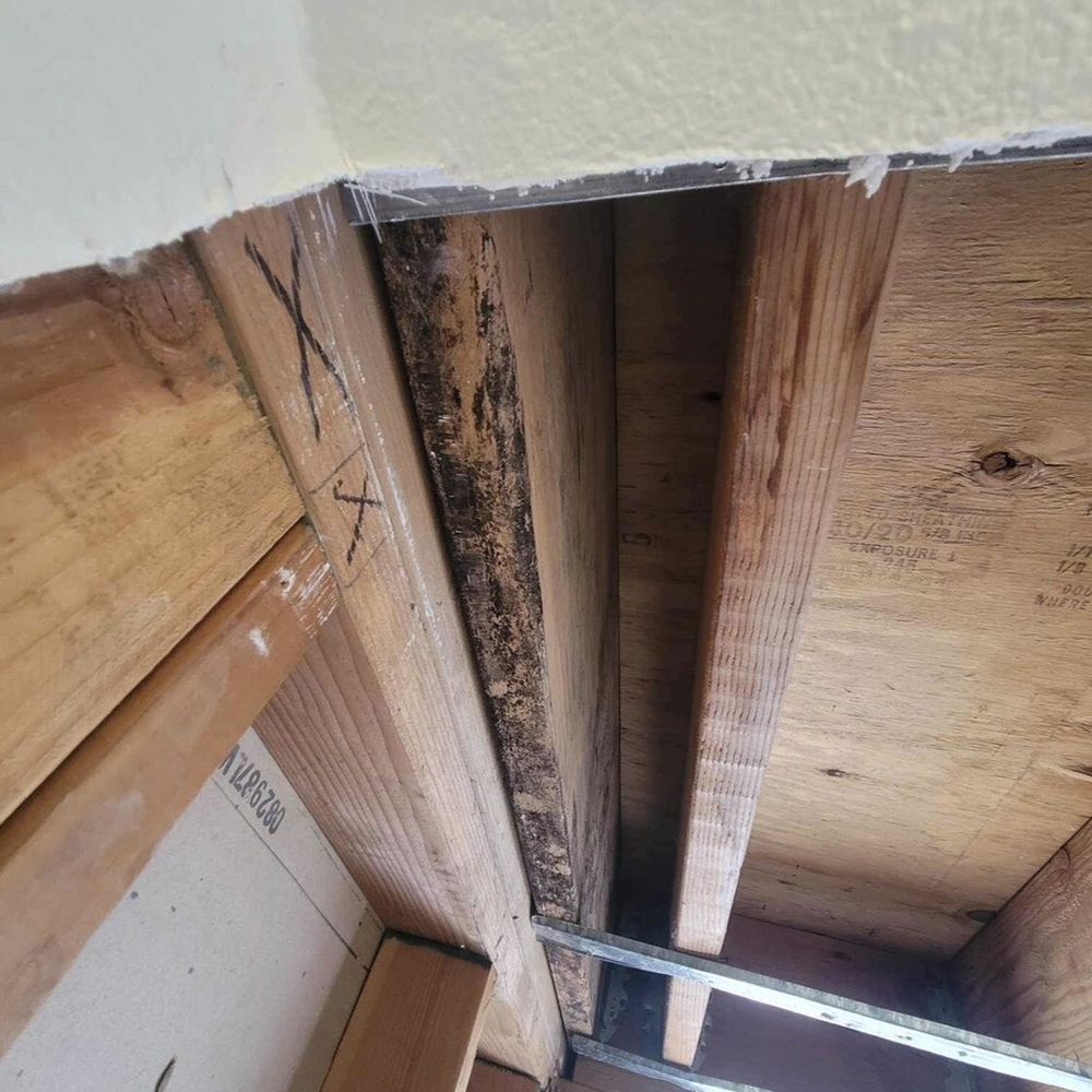 BluSky - Mold found by Bluesky. I was told by Avalon Bay that Bluesky doesn't provide an air clearance test after remediation - Damage Restoration Near Me - Signal Hill, California