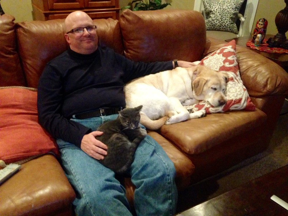 The Cat's Meow Pet Sitting Service