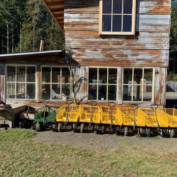 The Huntting's Pumpkin Patch and Haunted Forest - Pumpkin Patches Near Me - Cinebar, Washington The Huntting's Pumpkin Patch and Haunted Forest - Pumpkin Patches Near Me - Cinebar, Washington