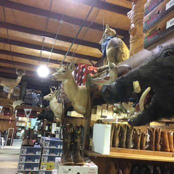 Cavender's Horsetown South - That's more like it! - Shoe Stores Near Me - Locust Grove, Georgia Cavender's Horsetown South - That's more like it! - Shoe Stores Near Me - Locust Grove, Georgia