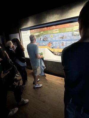 The Viking Museum by null