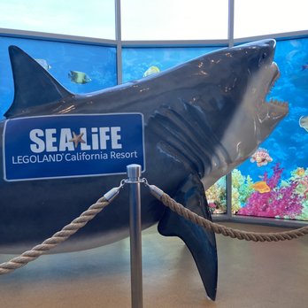 Sea Life Aquarium - Sculpture - Aquariums Near Me - Carlsbad, California Sea Life Aquarium - Sculpture - Aquariums Near Me - Carlsbad, California