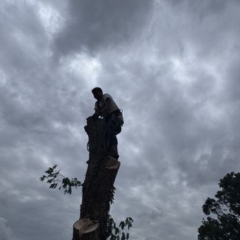 Johnny's Tree Service - No lightning,no sunshine, it's a great day to climb.
Hello Carnegie,Oklahoma - Tree Services Near Me Johnny's Tree Service - No lightning,no sunshine, it's a great day to climb.
Hello Carnegie,Oklahoma - Tree Services Near Me