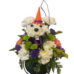 Absolutely Beautiful Florist & Flower Delivery - Trick-or-Pup!
https://www.absolutelybeautiful.us/flowers/purr-fect-little-witch/9350/