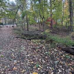 Donaldson Run Park