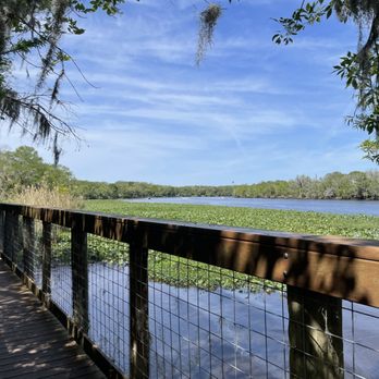 Black Bear Wilderness Area - Hiking Near Me - Sanford, Florida