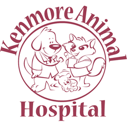 Kenmore Animal Hospital - Kenmore Animal Hospital