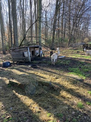Arrowhead Bike Farm and Campground by null