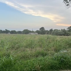 All Star Tax Realestate & Notary - Land for sale Somerville, Texas