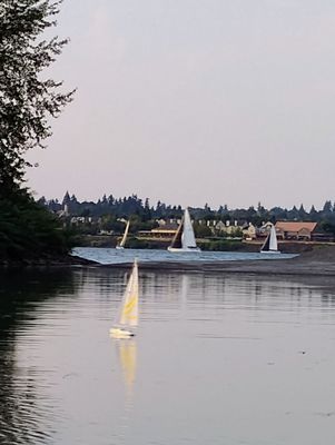 Pal’s - Hayden Island by null