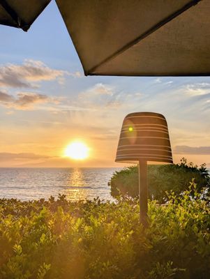 Ferraro's Restaurant & Bar by null