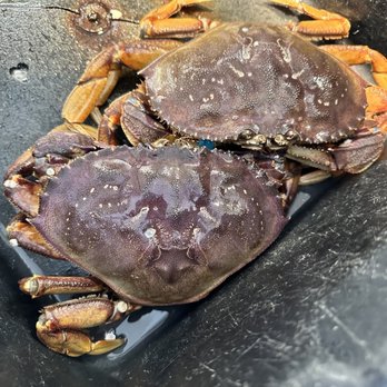 Quality Seafood - Dungeness Crab x 2 - Seafood Markets Near Me - Redondo Beach, California