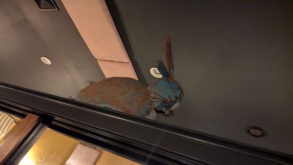 Black Rabbit by null