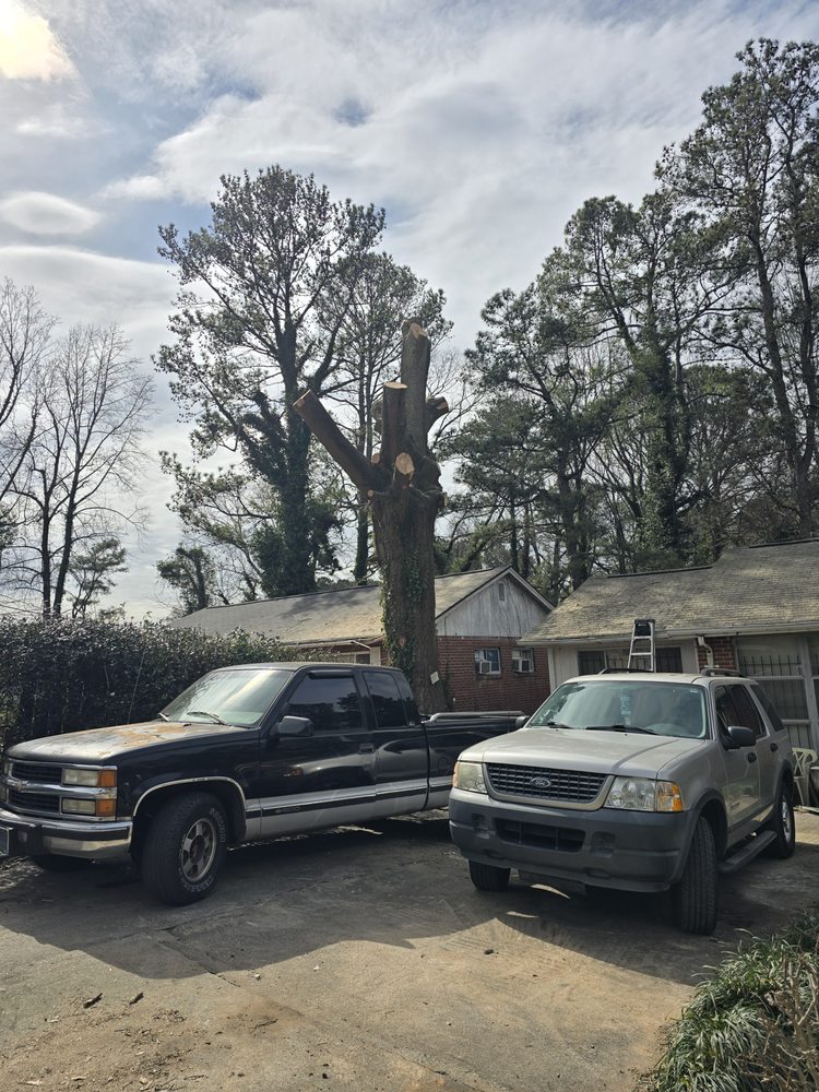 Advance Grading & Tree Service - tree service in Atlanta, GA
