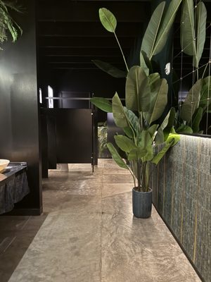 V Modern Italian by null
