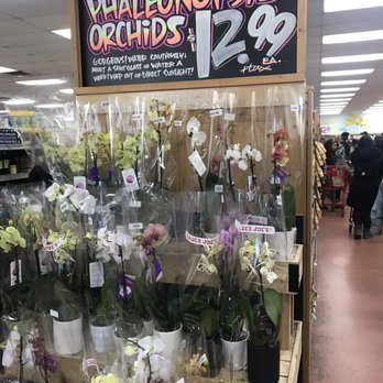 Trader Joe's - Grocery Near Me - Queens, New York Trader Joe's - Grocery Near Me - Queens, New York
