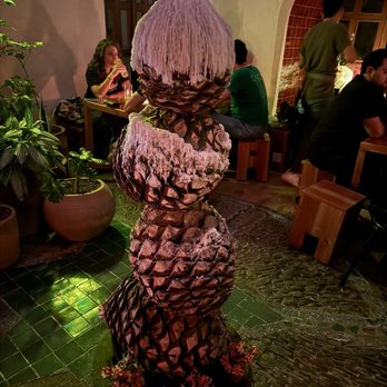 El Gallo Altanero - Cocktail Bars Near Me - Guadalajara, JAL