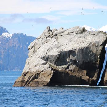 Kenai Fjords Tours - Boat Tours Near Me - Seward, Alaska