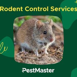 Pestmaster of Temecula