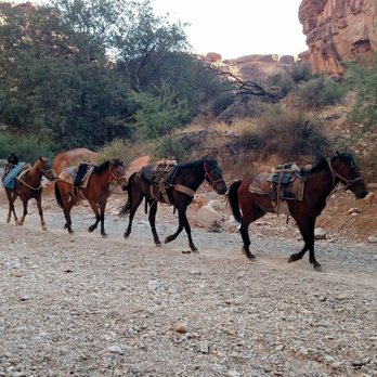 Havasu Falls - Hiking Near Me