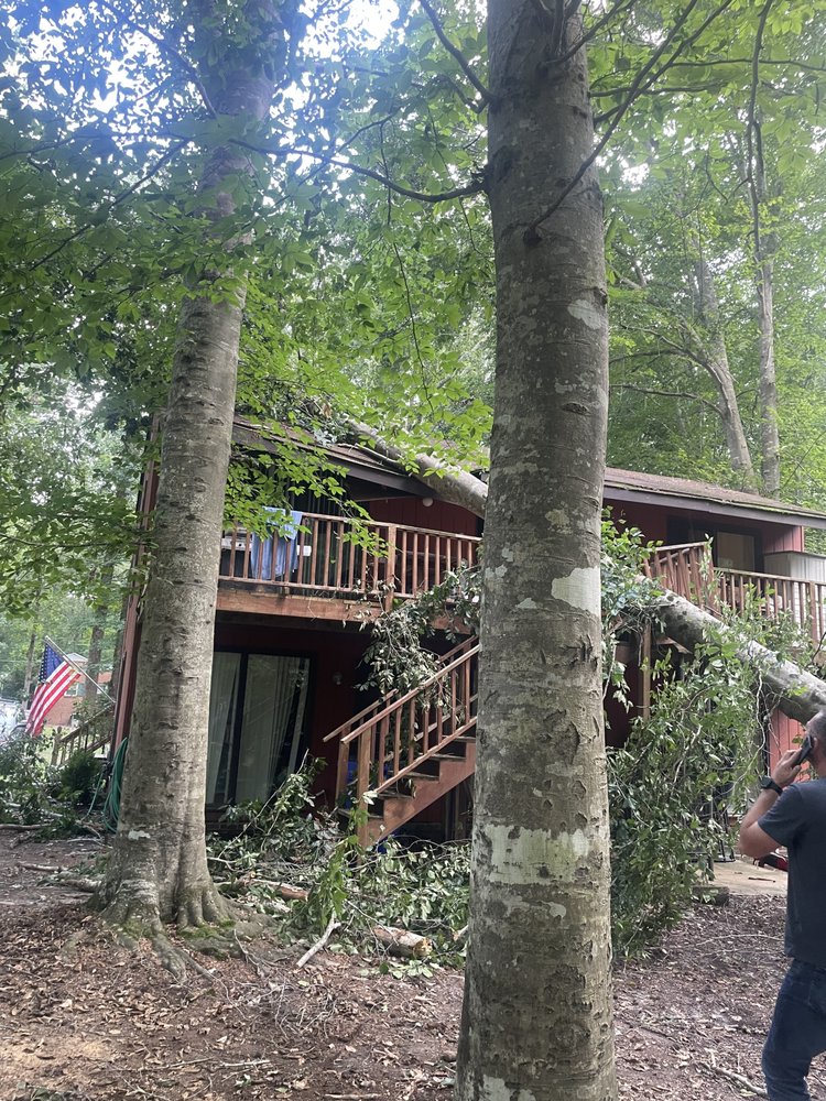 757 Tree Care - tree service in Virginia Beach, VA