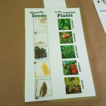 Fishers Farmers Market - This was the fun game for kids. - Farmers Market Near Me - Fishers, Indiana