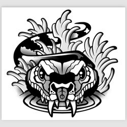 Water Snake Drain Service