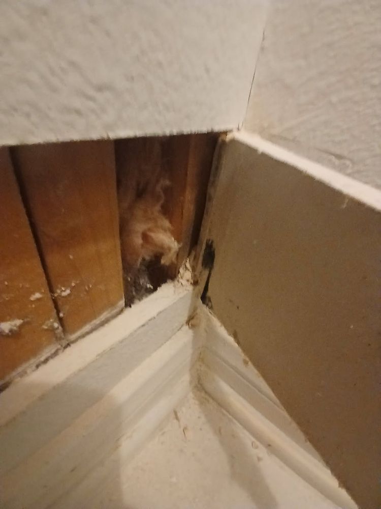 Slide of USA Mitigation