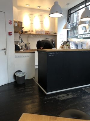 My Little Cup by null