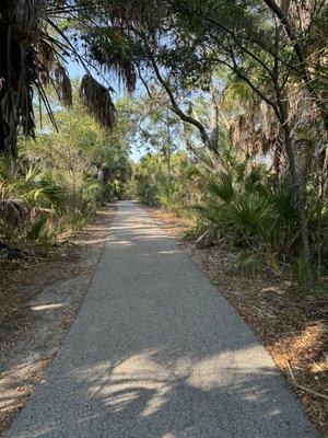 Weedon Island Preserve by null