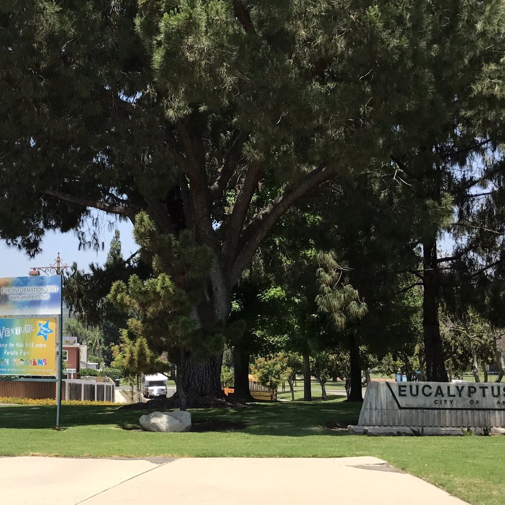 Eucalyptus Park - Parks Near Me - Anaheim, California Eucalyptus Park - Parks Near Me - Anaheim, California