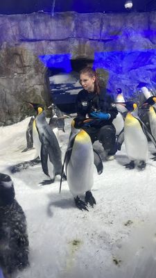 SEA LIFE Kelly Tarlton's Aquarium by null