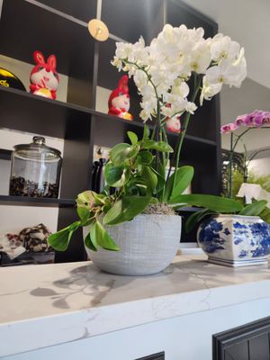 Oodles By The Nood Bar by null