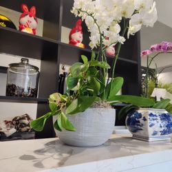 Oodles By The Noodbar - Counter decor