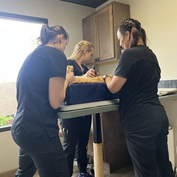 PAWS Veterinary Center - Veterinarians Near Me - Tucson, Arizona