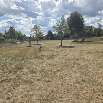 Schneider Community Park - Dog Parks Near Me - Canton, Ohio Schneider Community Park - Dog Parks Near Me - Canton, Ohio
