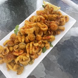 Fried Calamari
