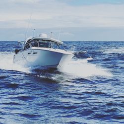 Maximum Coastal Adventures