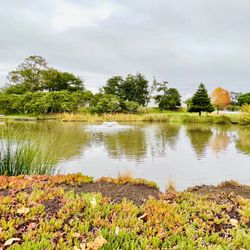 El Estero Park
