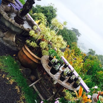 Ali'i Kula Lavender - Tours Near Me - Kula, Hawaii