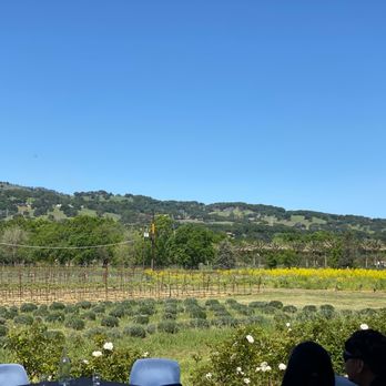 BackRoad Vines - View from the back - Wine Tasting Room Near Me - Fairfield, California