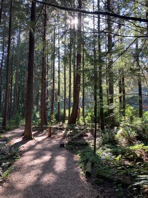 Lewis and Clark National Historical Park by null