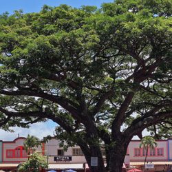 North Shore Marketplace