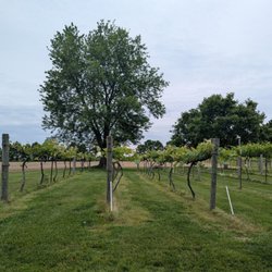 At The Barn Winery