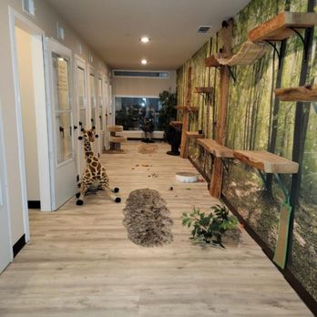 The Jungle - Such a cute and peaceful place! - Pet Boarding Near Me - Tustin, California The Jungle - Such a cute and peaceful place! - Pet Boarding Near Me - Tustin, California