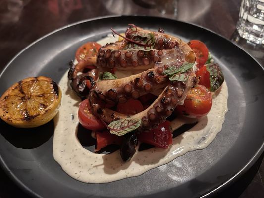 Lucille's Oyster Dive by null