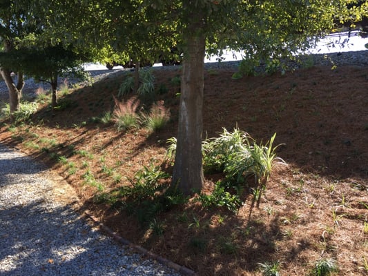 Sean's Landscaping by null